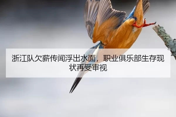 zhe-jiang-dui-qian-xin-chuan-wen-fu-chu-shui-mian-zhi-ye-ju-le-bu-sheng-cun-xian-zhuang-zai-shou-shen-shi-2-908.jpg